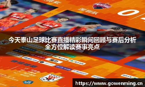 今天泰山足球比赛直播精彩瞬间回顾与赛后分析全方位解读赛事亮点