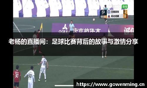 老杨的直播间：足球比赛背后的故事与激情分享