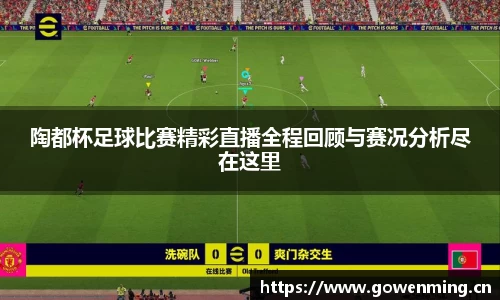 陶都杯足球比赛精彩直播全程回顾与赛况分析尽在这里