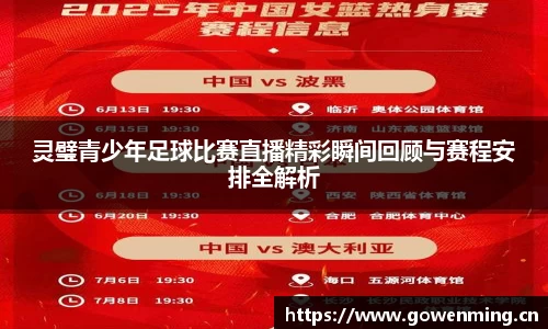 灵璧青少年足球比赛直播精彩瞬间回顾与赛程安排全解析