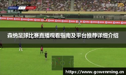 森纳足球比赛直播观看指南及平台推荐详细介绍