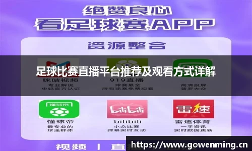 足球比赛直播平台推荐及观看方式详解
